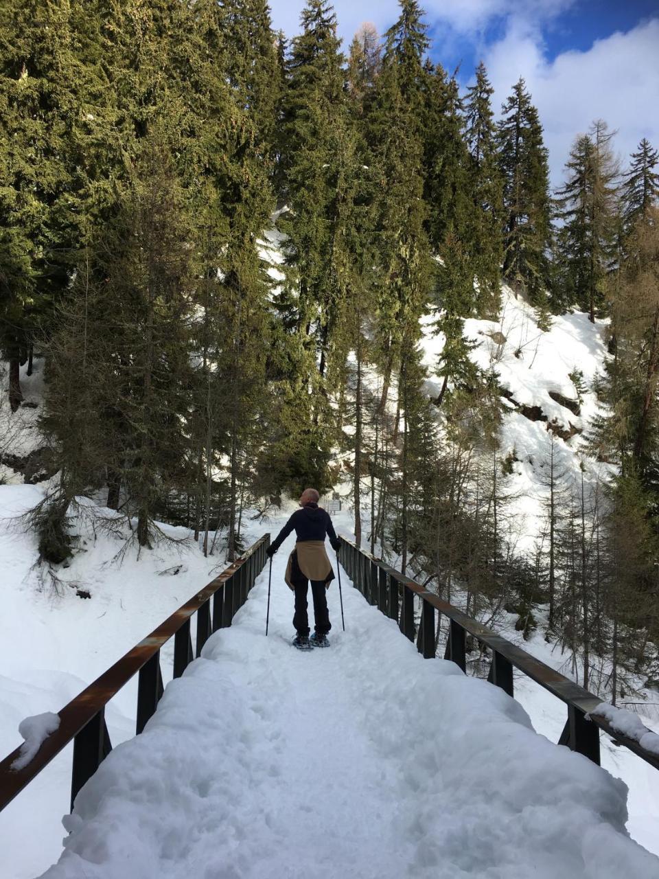 Chalet Ariane Blatten bei Naters Buitenkant foto
